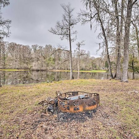 Unplugged Withlacoochee Riverfront Retreat! ブッシュネル  エクステリア 写真