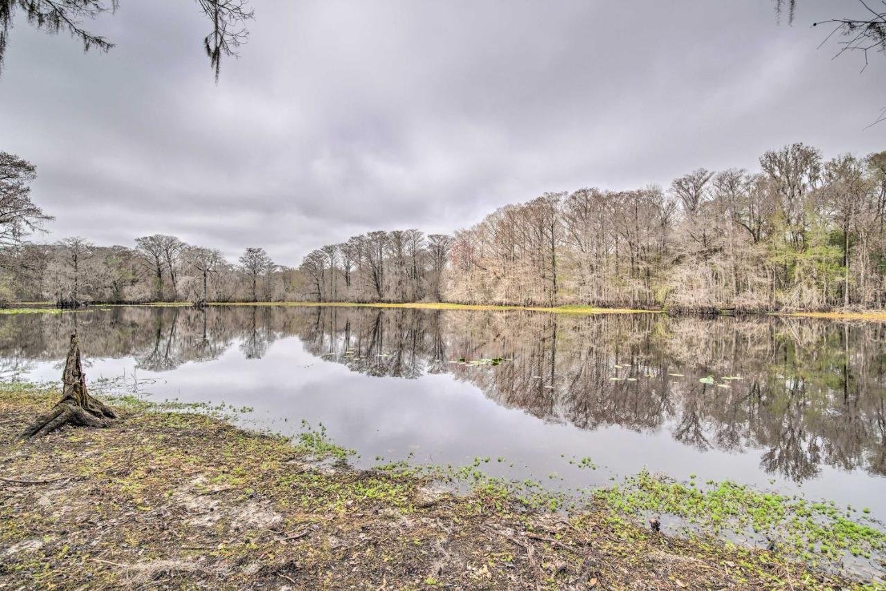 Unplugged Withlacoochee Riverfront Retreat! ブッシュネル  エクステリア 写真